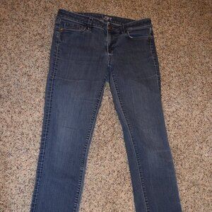 Women's Ann Taylor Lot Blue Denim Blue Jeans - size 6